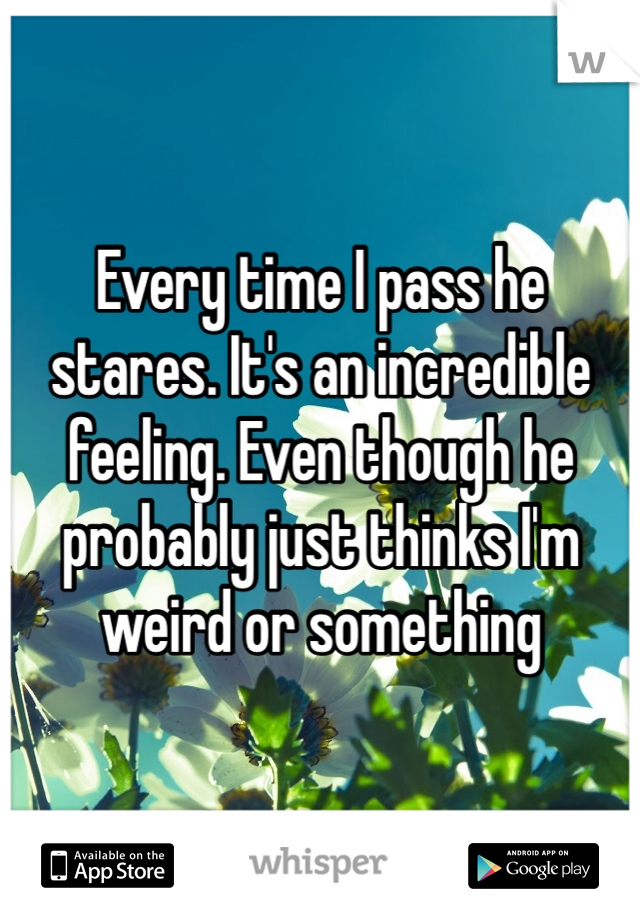 Every time I pass he stares. It's an incredible feeling. Even though he probably just thinks I'm weird or something 