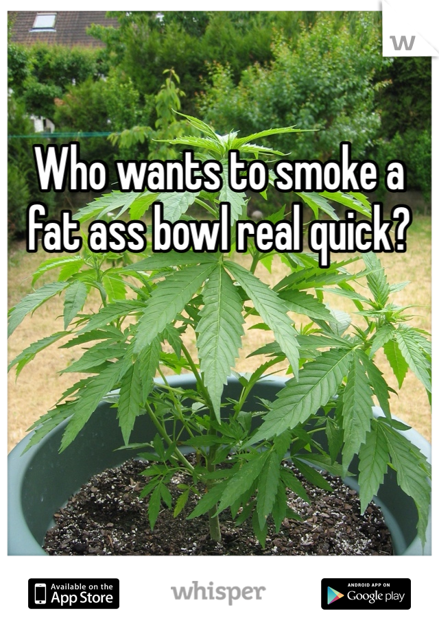 Who wants to smoke a fat ass bowl real quick?