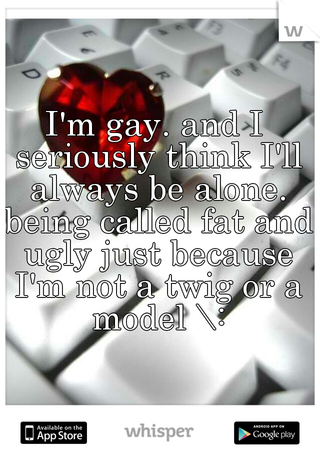 I'm gay. and I seriously think I'll always be alone. being called fat and ugly just because I'm not a twig or a model \: