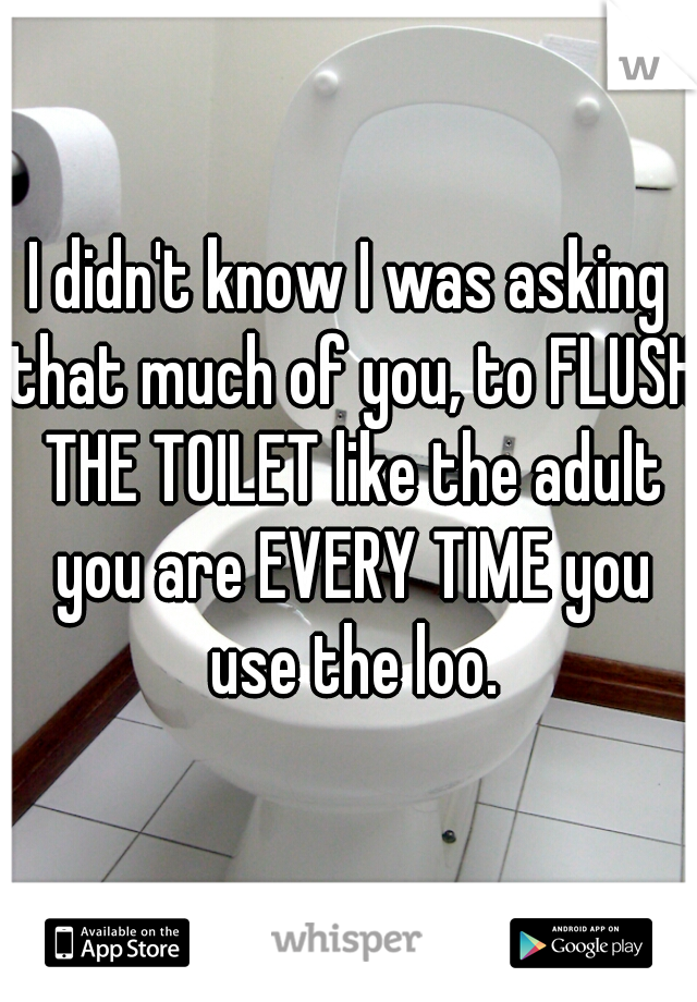 I didn't know I was asking that much of you, to FLUSH THE TOILET like the adult you are EVERY TIME you use the loo.