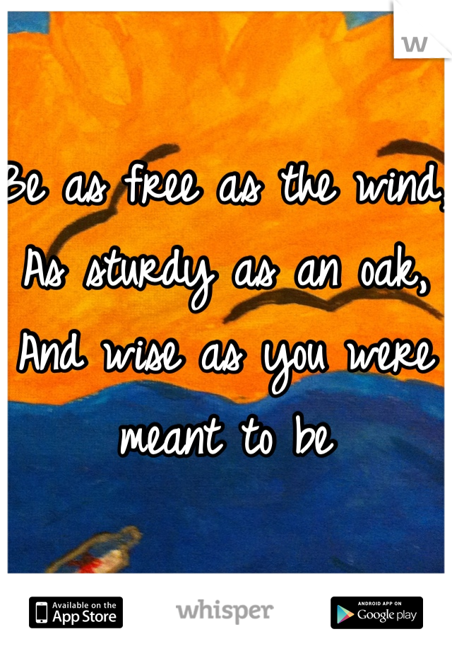 Be as free as the wind,
As sturdy as an oak,
And wise as you were meant to be