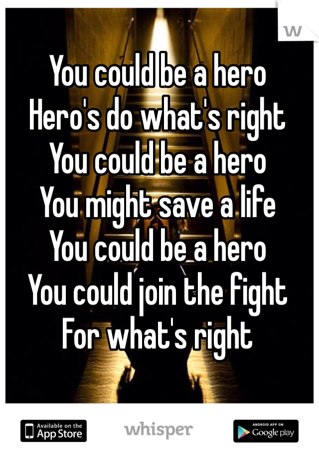 You could be a hero
Hero's do what's right
You could be a hero
You might save a life
You could be a hero 
You could join the fight
For what's right