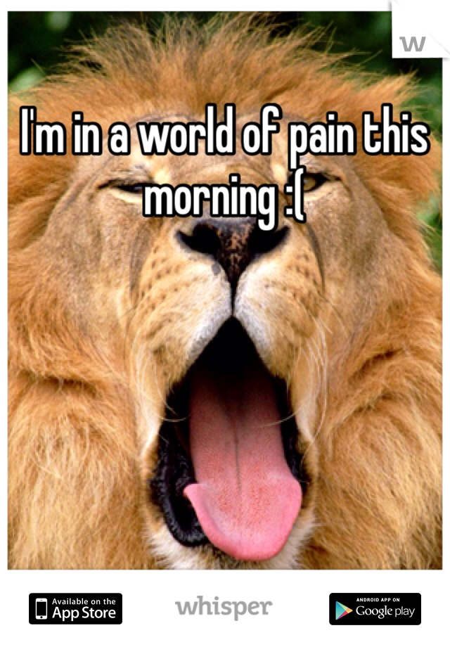 I'm in a world of pain this morning :(