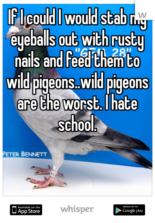 If I could I would stab my eyeballs out with rusty nails and feed them to  wild pigeons..wild pigeons are the worst. I hate school.