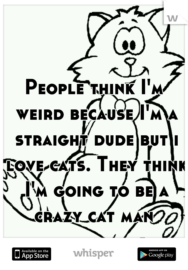 People think I'm weird because I'm a straight dude but i love cats. They think I'm going to be a crazy cat man 