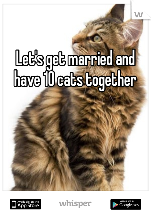 Let's get married and have 10 cats together 