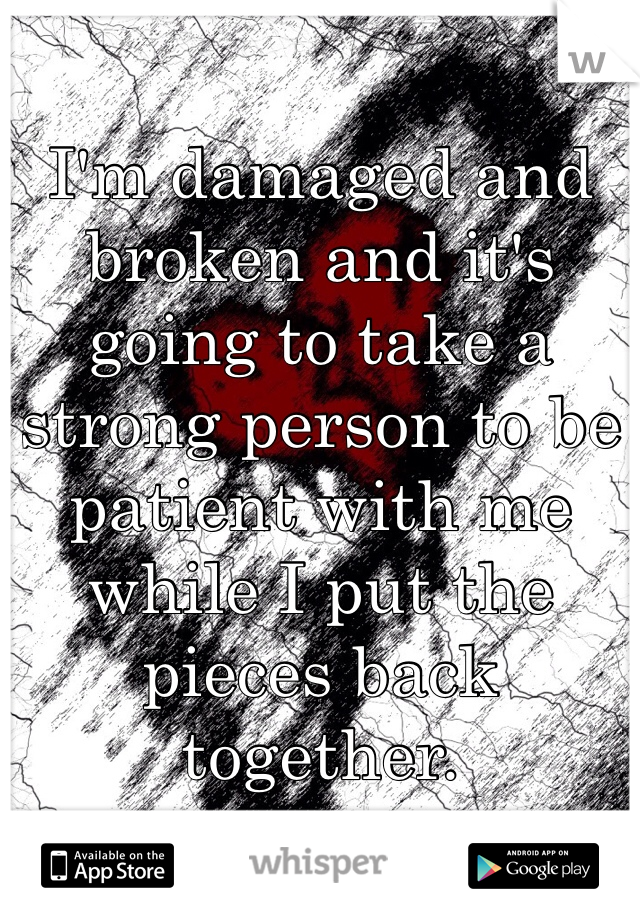 I'm damaged and broken and it's going to take a strong person to be patient with me while I put the pieces back together. 