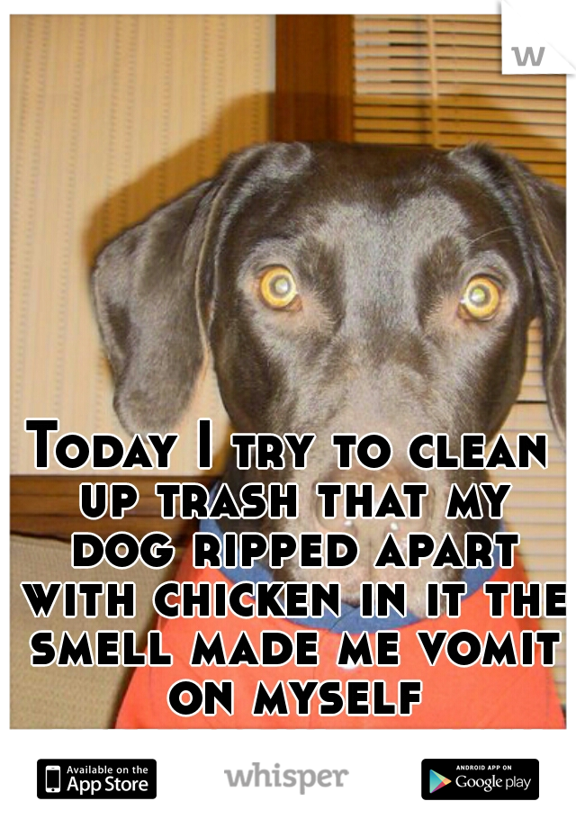 Today I try to clean up trash that my dog ripped apart with chicken in it the smell made me vomit on myself repeatedly .....sexy morning