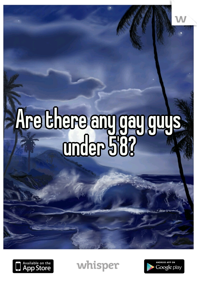 Are there any gay guys under 5'8?