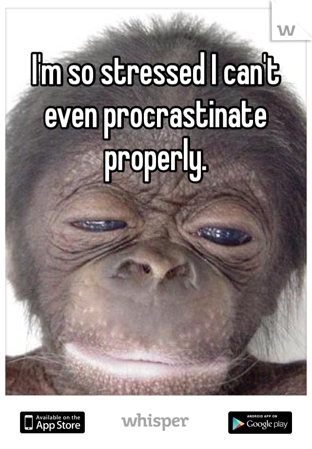 I'm so stressed I can't even procrastinate properly. 