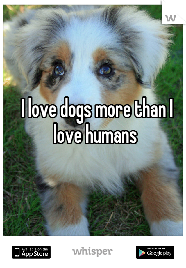 I love dogs more than I love humans 
