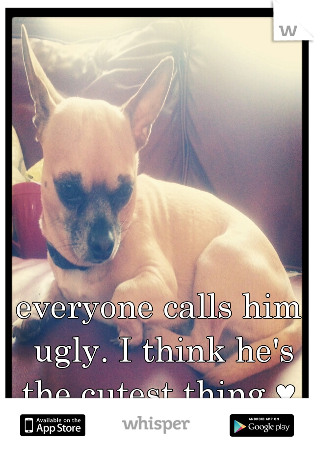 everyone calls him ugly. I think he's the cutest thing ♥