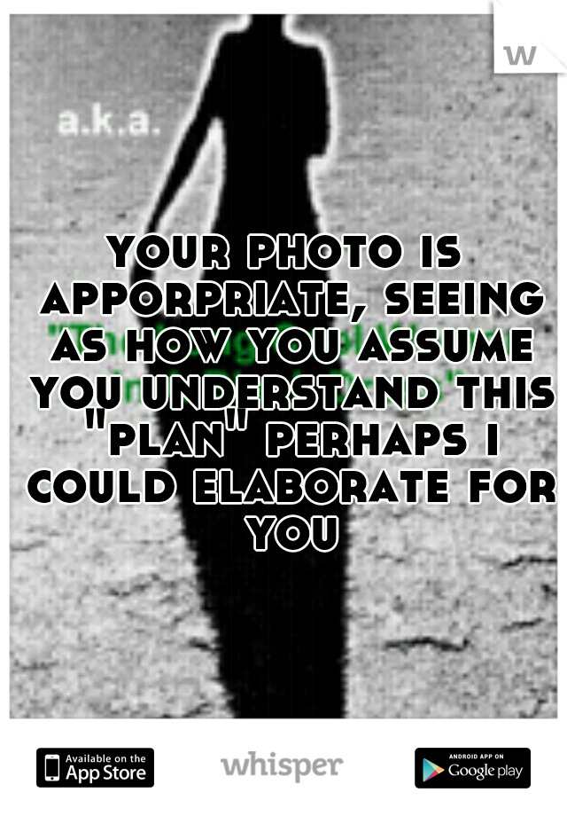 your photo is apporpriate, seeing as how you assume you understand this "plan" perhaps i could elaborate for you