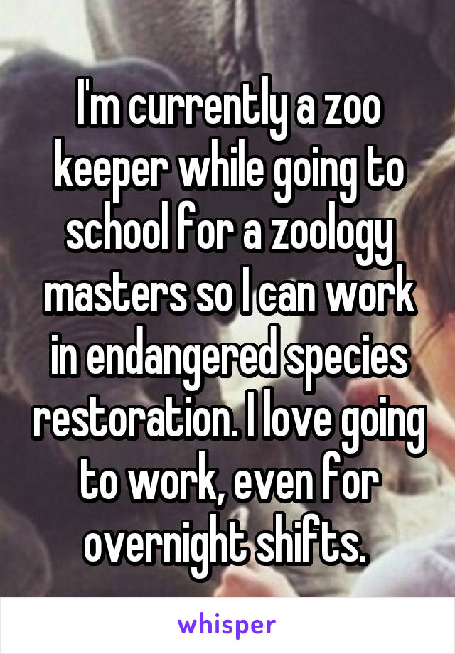 I'm currently a zoo keeper while going to school for a zoology masters so I can work in endangered species restoration. I love going to work, even for overnight shifts. 
