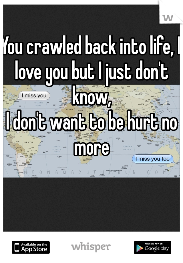 You crawled back into life, I love you but I just don't know,
I don't want to be hurt no more 