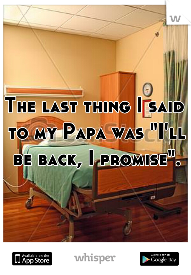 The last thing I said to my Papa was "I'll be back, I promise".