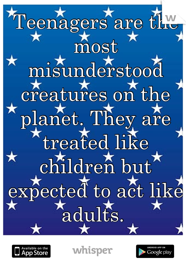 Teenagers are the most misunderstood creatures on the planet. They are treated like children but expected to act like adults. 