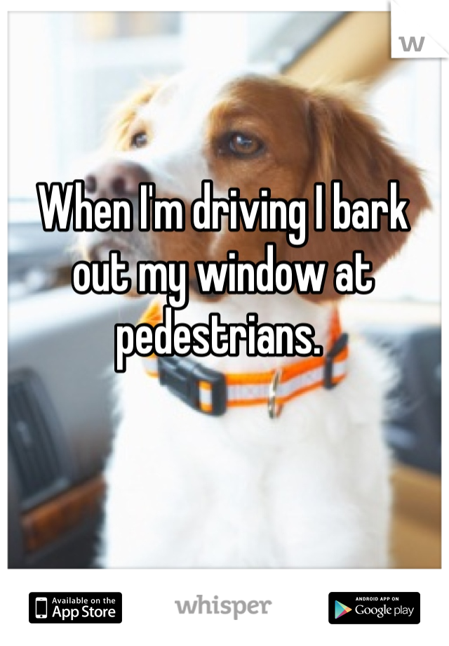 When I'm driving I bark out my window at pedestrians. 