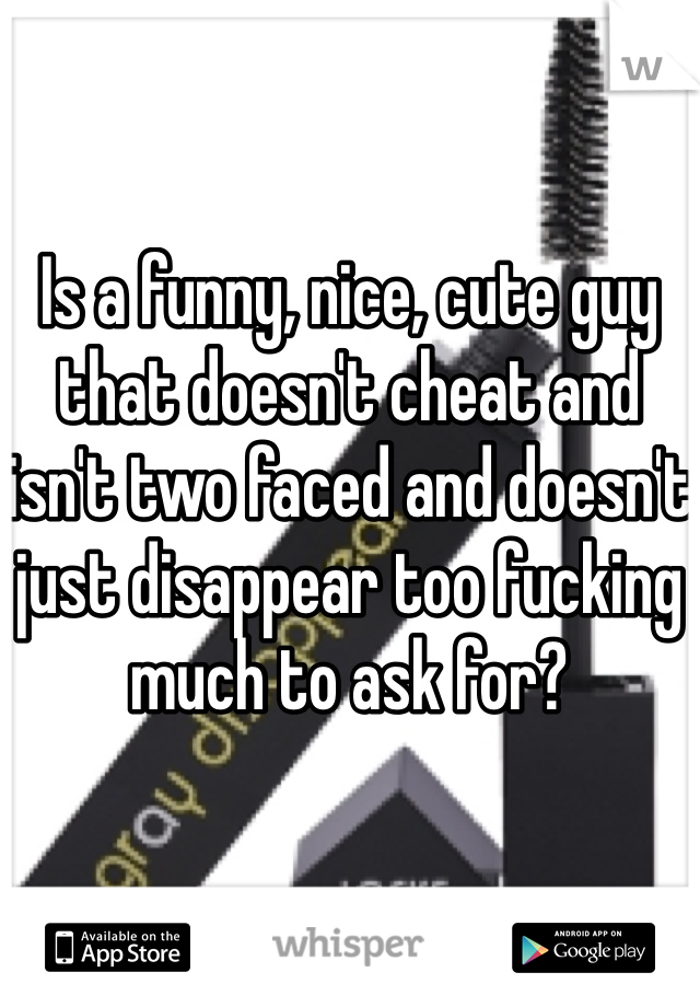 Is a funny, nice, cute guy that doesn't cheat and isn't two faced and doesn't just disappear too fucking much to ask for?