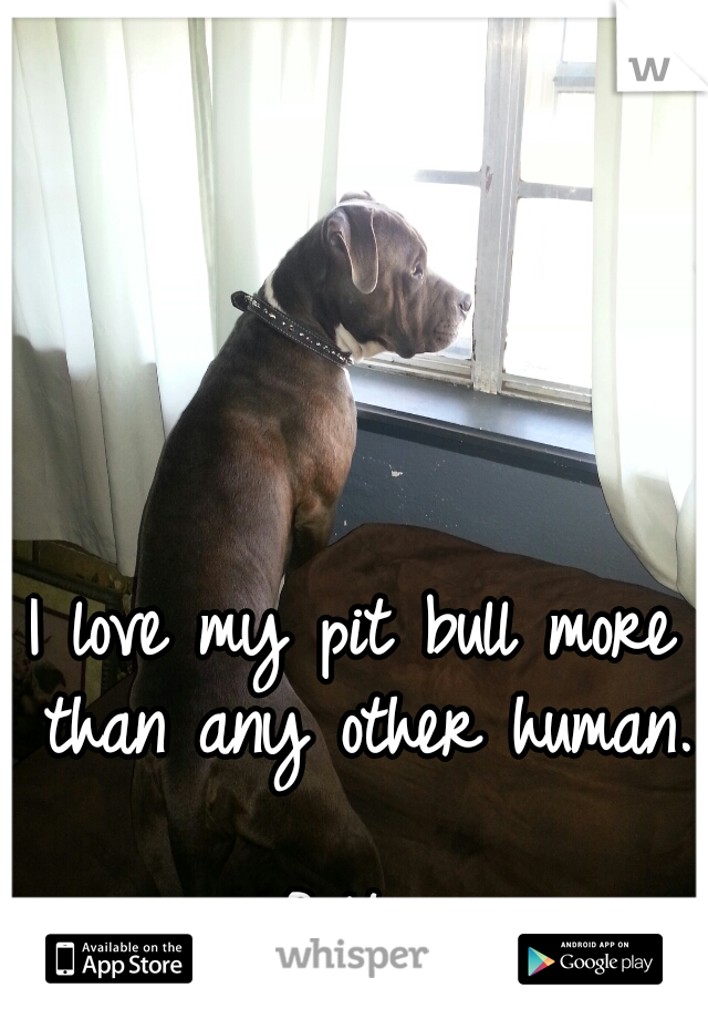 I love my pit bull more than any other human.  
















Bolt 