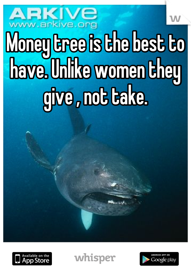 Money tree is the best to have. Unlike women they give , not take.