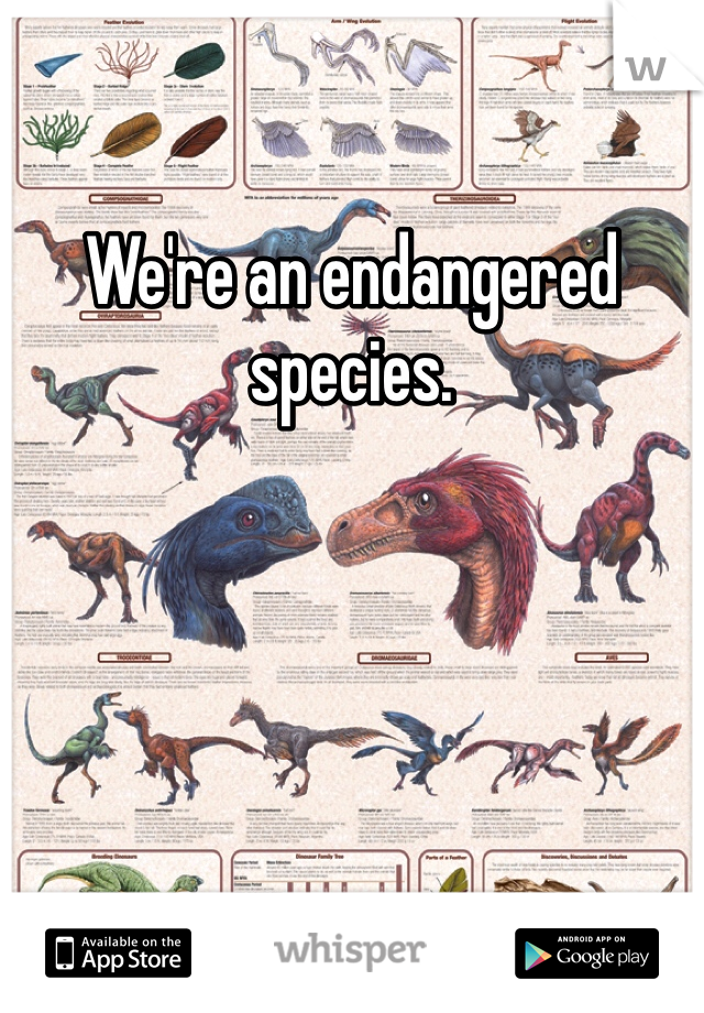 We're an endangered species. 