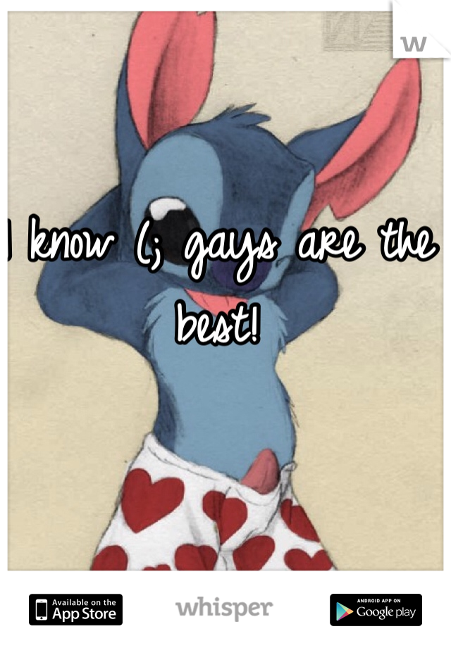 I know (; gays are the best!