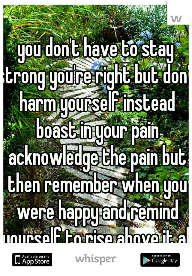 you don't have to stay strong you're right but don't harm yourself instead boast in your pain acknowledge the pain but then remember when you were happy and remind yourself to rise above it all