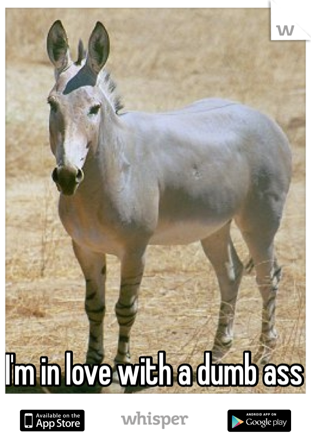 I'm in love with a dumb ass