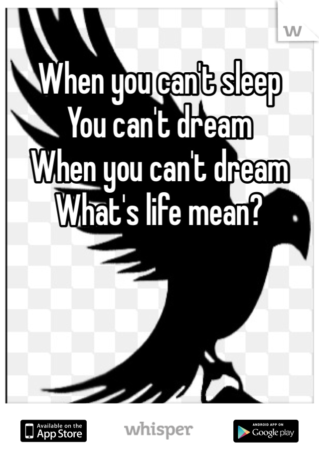 When you can't sleep 
You can't dream
When you can't dream
What's life mean?