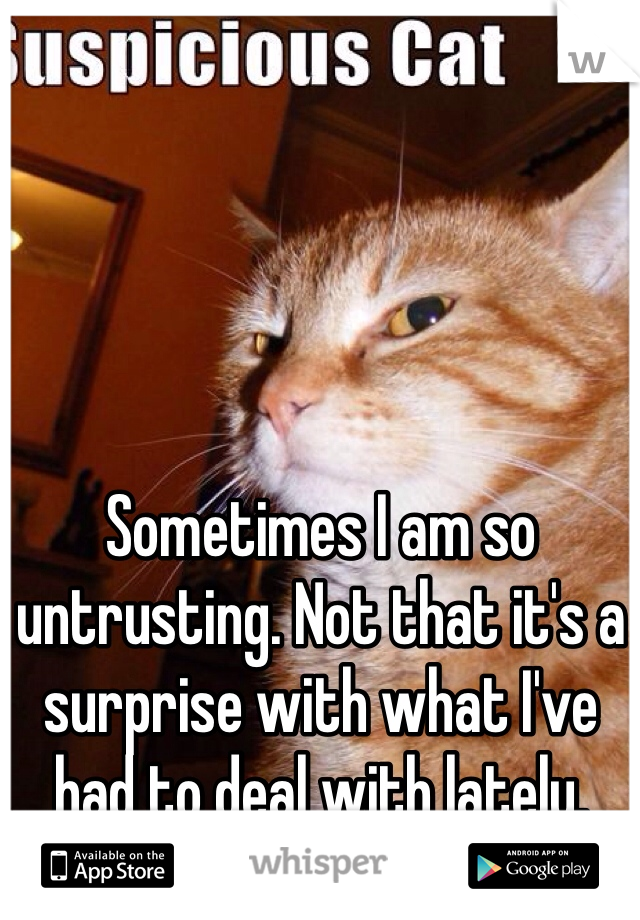 Sometimes I am so untrusting. Not that it's a surprise with what I've had to deal with lately. 