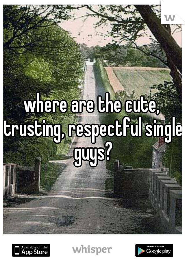 where are the cute, trusting, respectful single guys?