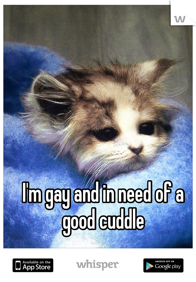 I'm gay and in need of a good cuddle