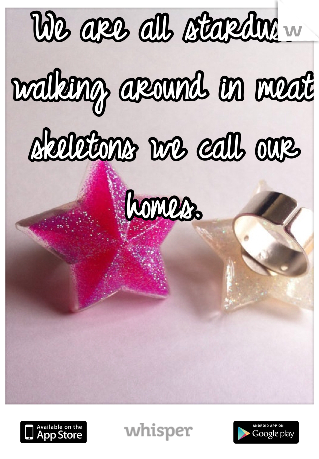 We are all stardust walking around in meat skeletons we call our homes. 