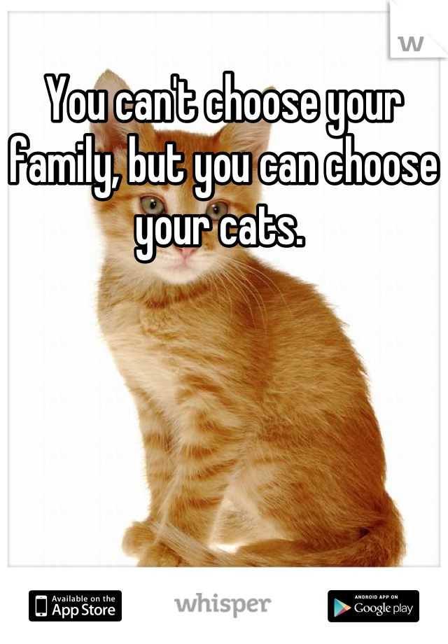 You can't choose your family, but you can choose your cats. 