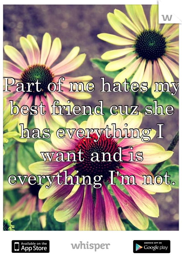 Part of me hates my best friend cuz she has everything I want and is everything I'm not.