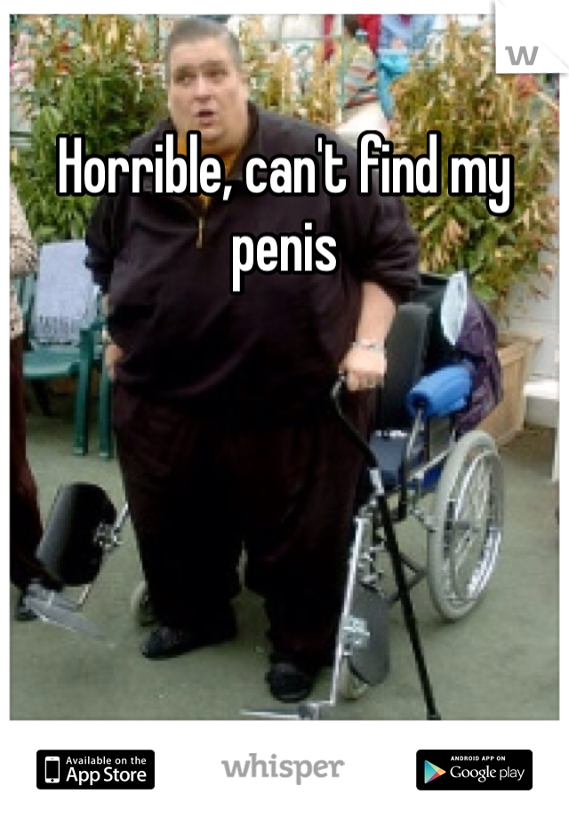 Horrible, can't find my penis