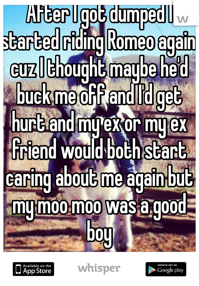 After I got dumped I started riding Romeo again cuz I thought maybe he'd buck me off and I'd get hurt and my ex or my ex friend would both start caring about me again but my moo moo was a good boy