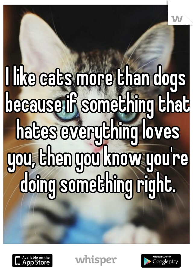 I like cats more than dogs because if something that hates everything loves you, then you know you're doing something right.