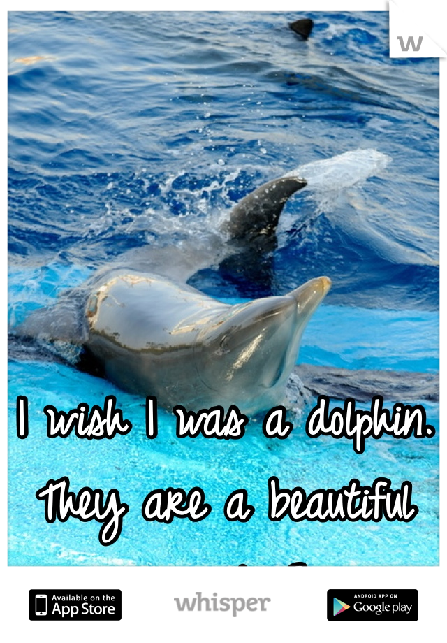 I wish I was a dolphin. They are a beautiful animal <3