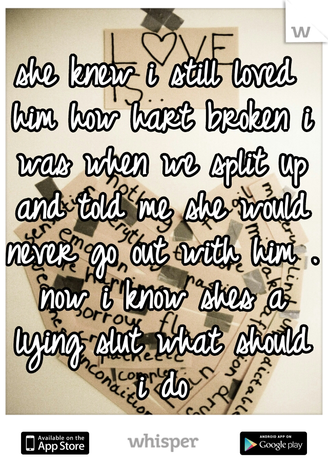 she knew i still loved him how hart broken i was when we split up and told me she would never go out with him . now i know shes a lying slut what should i do