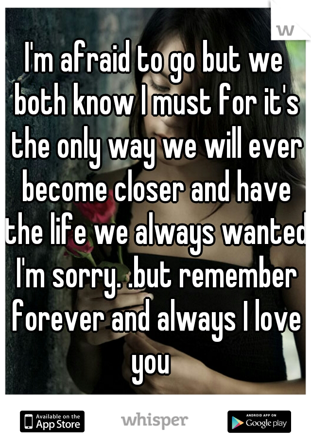 I'm afraid to go but we both know I must for it's the only way we will ever become closer and have the life we always wanted I'm sorry. .but remember forever and always I love you  