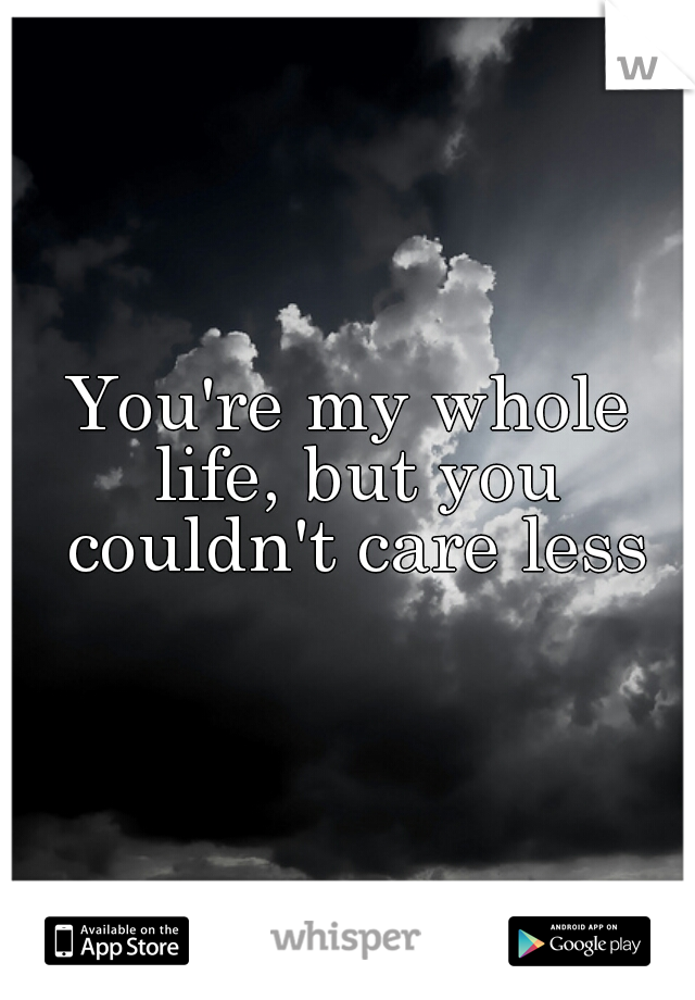 You're my whole life, but you couldn't care less