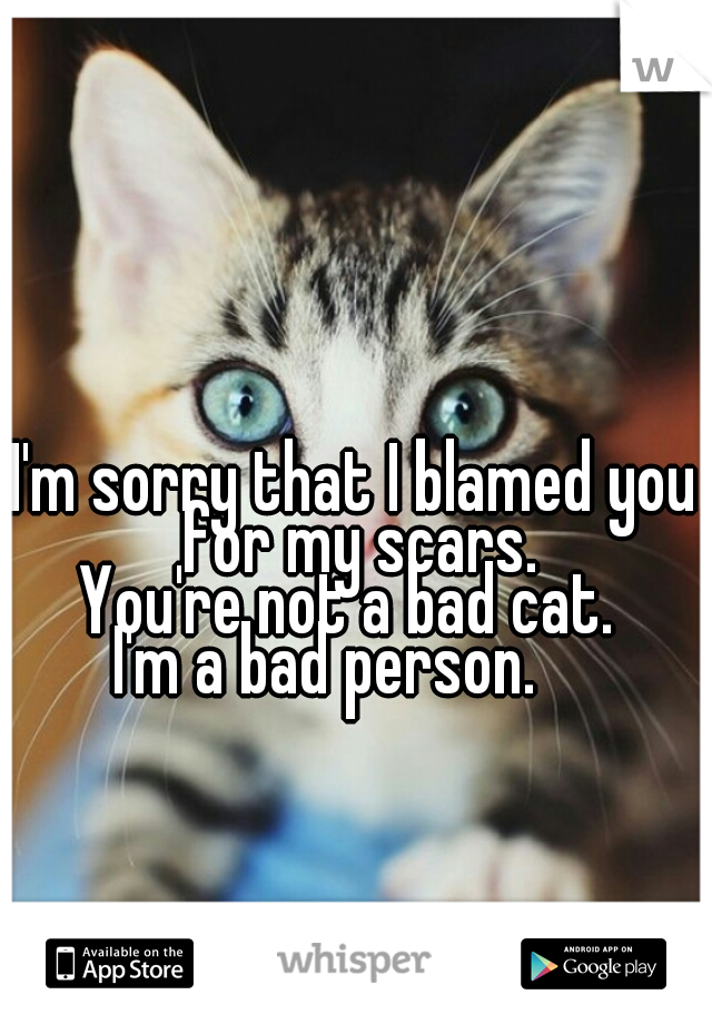 I'm sorry that I blamed you for my scars.
You're not a bad cat. 
I'm a bad person.    