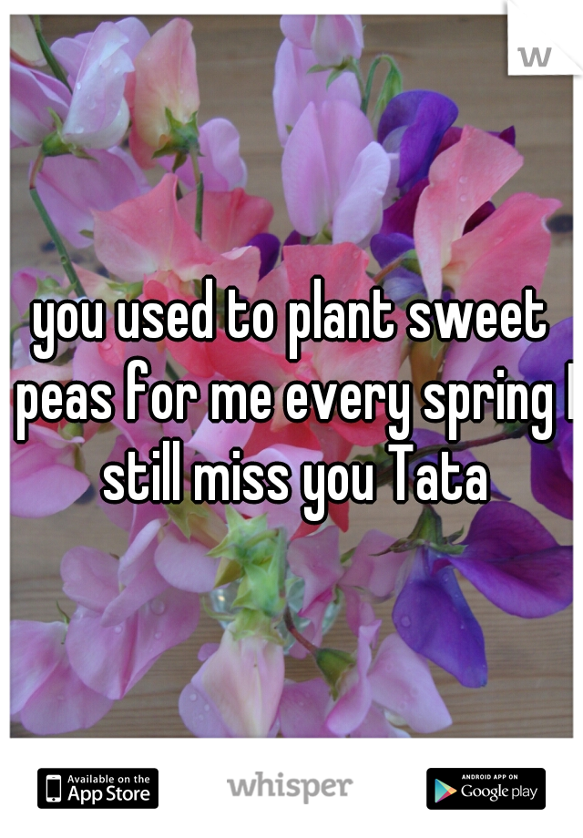 you used to plant sweet peas for me every spring I still miss you Tata