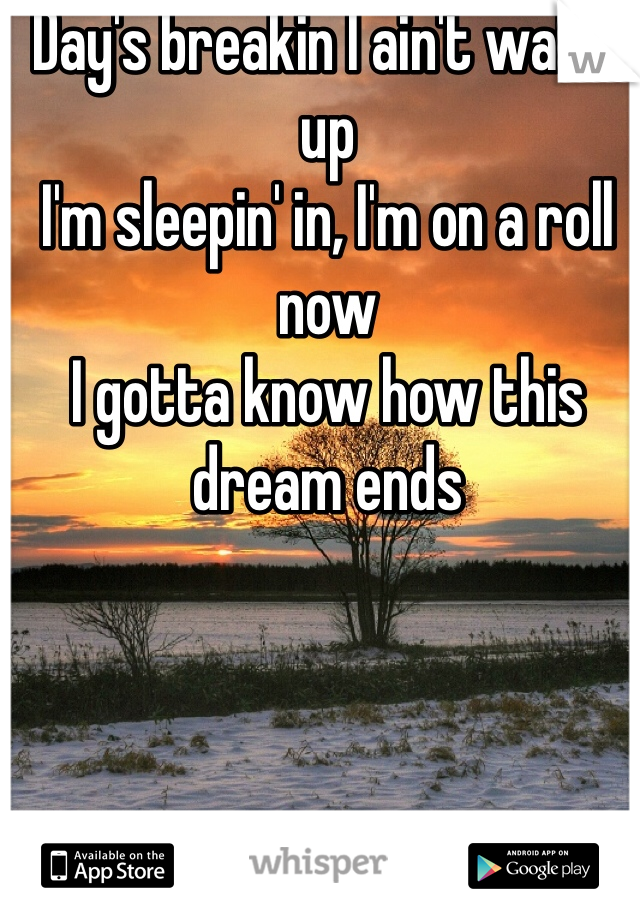 Day's breakin I ain't wakin up
I'm sleepin' in, I'm on a roll now
I gotta know how this dream ends