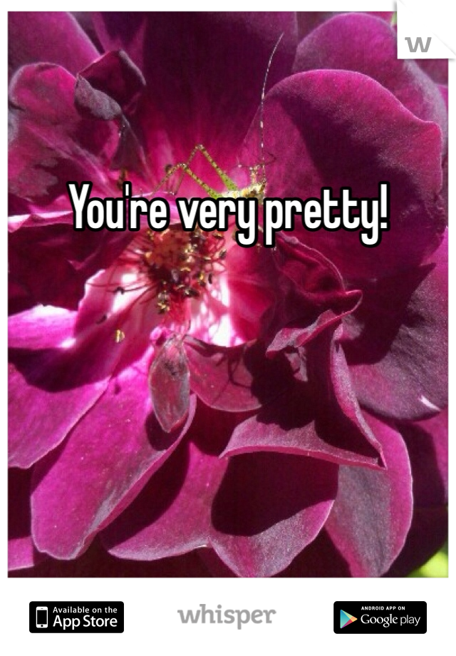 You're very pretty! 