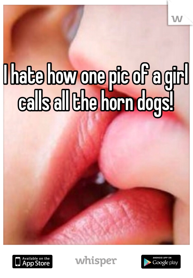 I hate how one pic of a girl calls all the horn dogs!