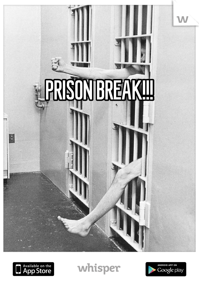 PRISON BREAK!!!