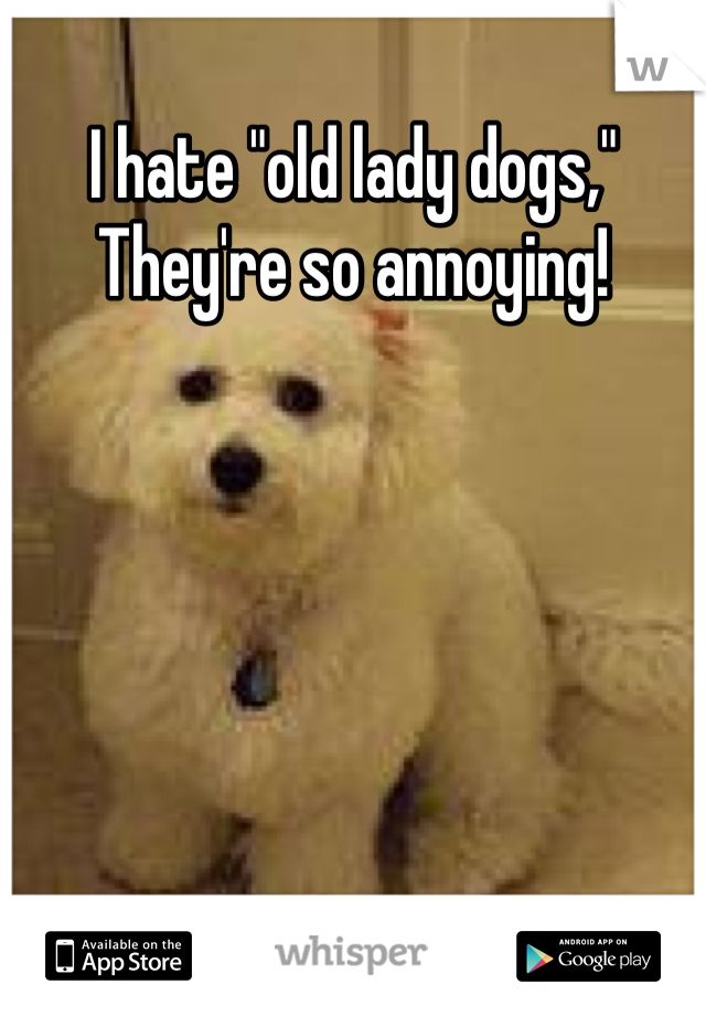 I hate "old lady dogs,"
They're so annoying!